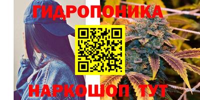 мдма Дубна