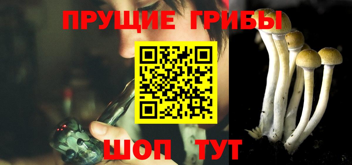 Псилоцибиновые грибы мицелий  Вход с VPN  Галлюциногенные грибы ЛСД  Муром 